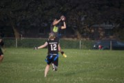 OTFL Gallery Image